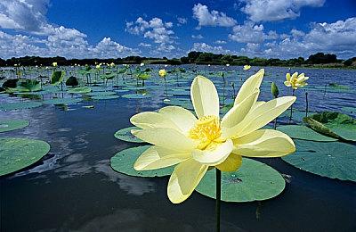 Xbox精英手柄2代公开 售价129.99美元、9.21发售