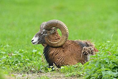 《审判之眼＆逝》1.02补丁上线 增加XeSS技术支持