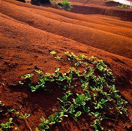《星刃》开发商Shift Up将继续开发单人游戏
